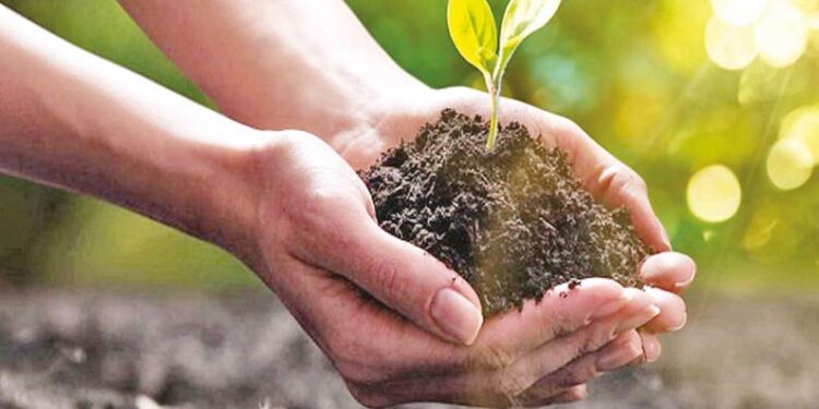 ISHA: மண் காப்போம் இயக்கம் சார்பில் 3 மாத இயற்கை விவசாய களப் பயிற்சி