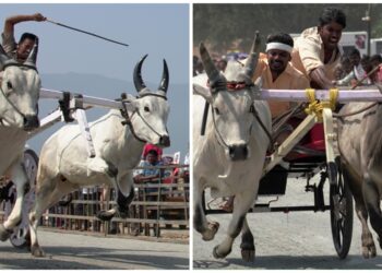 Isha: ஈஷாவில் களைகட்டிய ரேக்ளா பந்தயம்! லட்சம் ரூபாய் பரிசைத் தட்டிச் சென்ற காளைகள்!