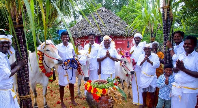 Pongal 2025: மக்களே! பொங்கல் எந்த நேரத்தில் வச்சா குடும்பத்துக்கு நல்லது?